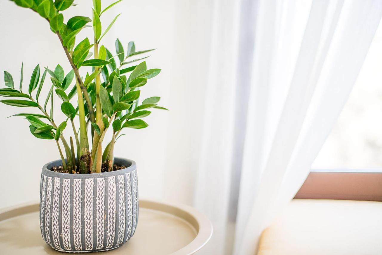 Kyma Luxury Studio Anevato Zewnętrze zdjęcie